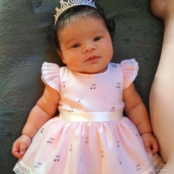 Journie - Contest Entry Photo