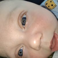 Jovari photo 8