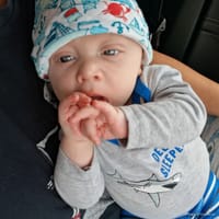 Jovari photo 10