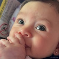 Julietta photo 8