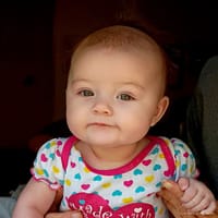 Juniper photo 6