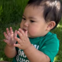 Kacen photo 5