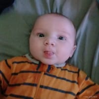 Kaiden photo 5