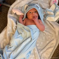 Kaiden photo 8