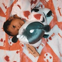 Kamillia photo 5