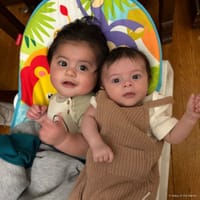Kamillo photo 4