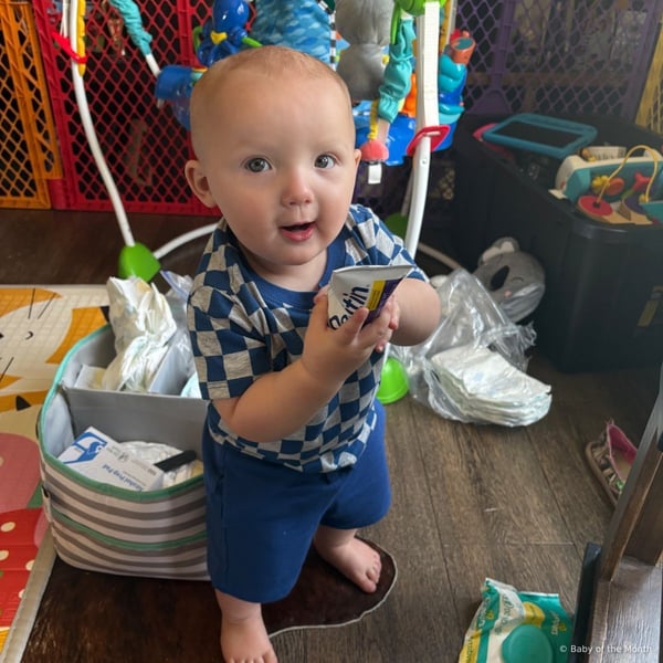 Knox - Contest Entry Photo