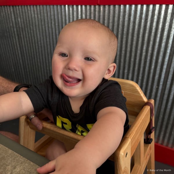 Knox - Contest Entry Photo