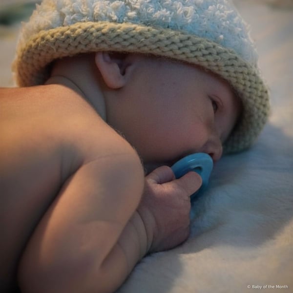 Leif - Contest Entry Photo