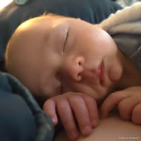 Leif photo 9