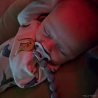 Leif photo 10