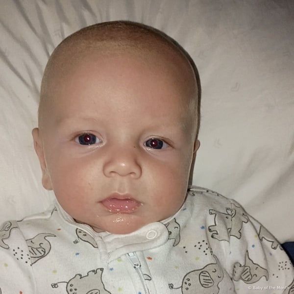 Lennox - Contest Entry Photo