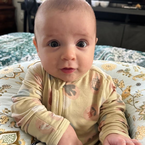 Lily - Contest Entry Photo