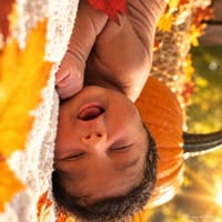 Lynix photo 2