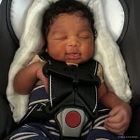Lynix photo 3