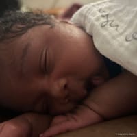 Lynix photo 8