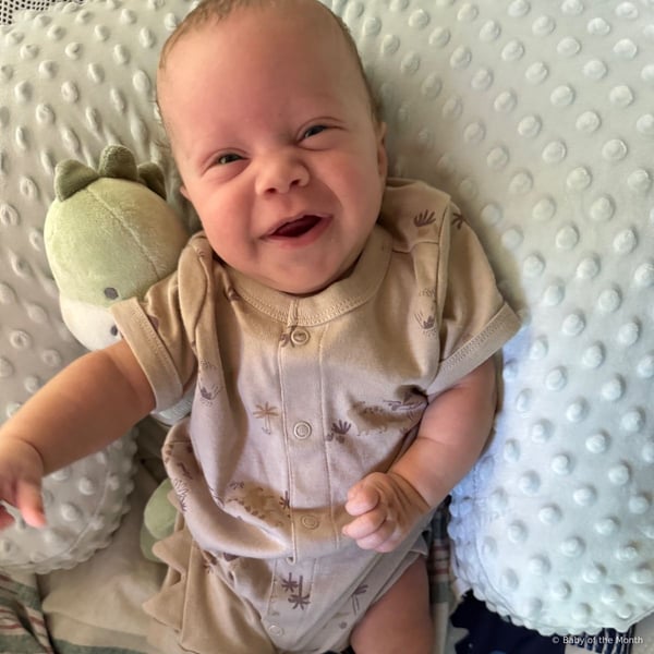 Majah - Contest Entry Photo