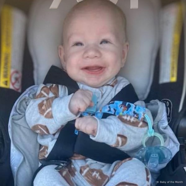 Malchi - Contest Entry Photo