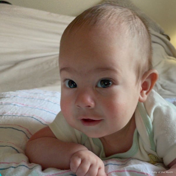 Mason - Contest Entry Photo