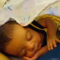 Mateo photo 2