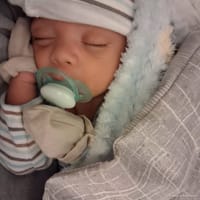 Mateo photo 6