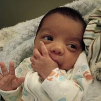 Mateo photo 7