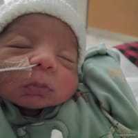 Mateo photo 9