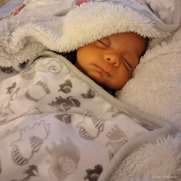 Mateo - Contest Entry Photo