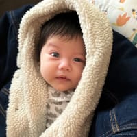 Matthias photo 5