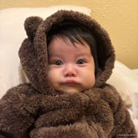 Matthias photo 7