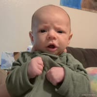 Milo photo 5