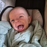 Milo photo 10