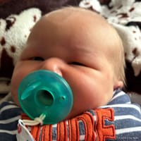 Nash photo 2