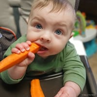 Niko photo 3