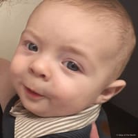 Niko photo 6