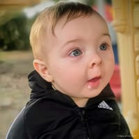 Niko photo 8