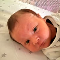 Nikolas photo 2