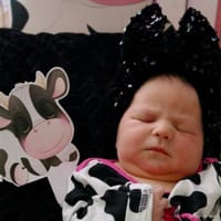 Octavia photo 2