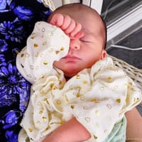Octavia photo 4