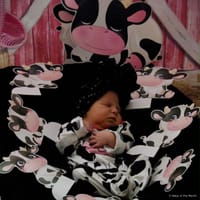 Octavia photo 3