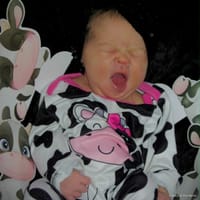 Octavia photo 4