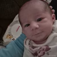 Octavia photo 6