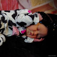 Octavia photo 8