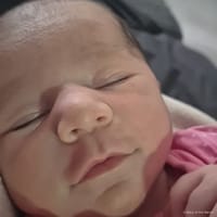 Octavia photo 8