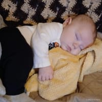 Oliver photo 7
