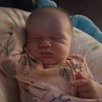 Olivia photo 6