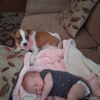Olivia photo 7