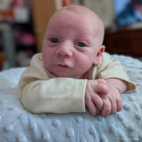 Owen photo 5