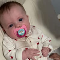 Phoebe photo 8