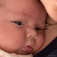 Phoebe photo 10